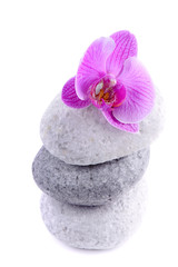 Fototapeta na wymiar Stack of spa stones with flower 