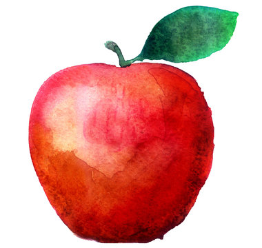 watercolor apple on a white background