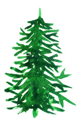 green watercolor spruce on white background