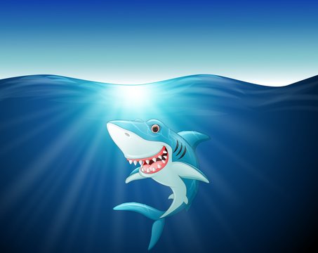 Cartoon funny shark on the sea