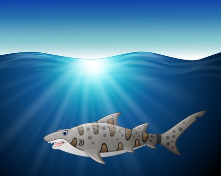 Stock Art Drawing of a Sand Tiger Shark