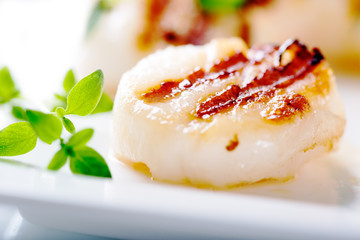 Grilled scallops with thyme leafs