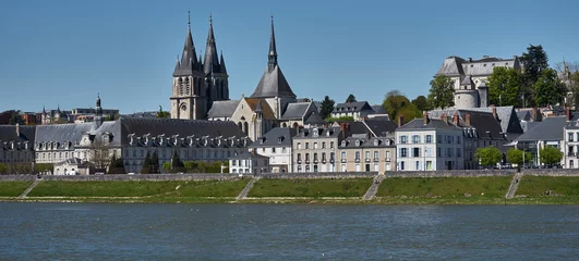 Photo sur Plexiglas Travaux détablissement Blois