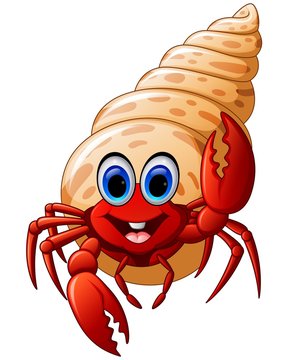 recommend clip art: Cartoon hermit crab