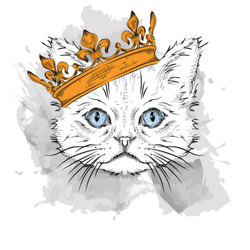 Hand draw Image Portrait cat  in the crown. Use for print, posters, t-shirts. Hand draw vector illustration