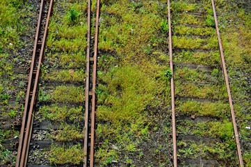 Tory kolejowe zarośnięte trawą na bocznicy kolejowej