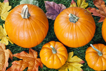 cropped image of halloween pumpkins with autumn leaves.