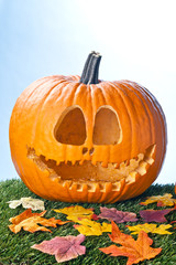 jack o lantern portrait