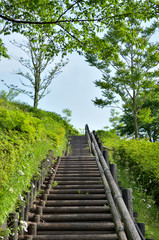 青空に続く階段
