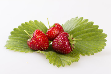 Fragole rosse su foglia verde