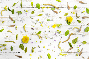 Obraz premium Flowers and buds of trees on a wooden surface