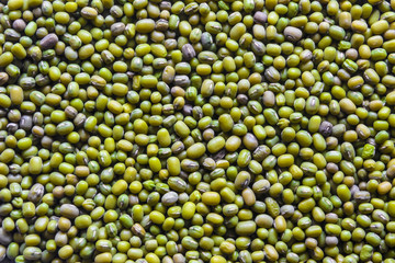 Many seeds (mung bean)