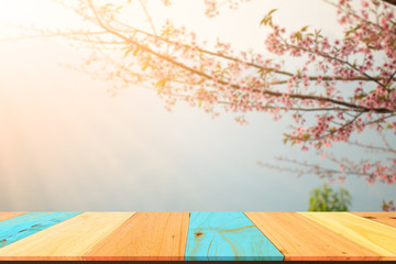 Naklejka na ściany i meble Table Top And Wild himalayan cherry Of The Background