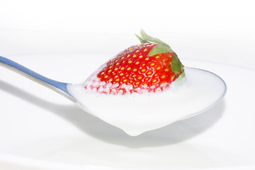 Red strawberries in cream on a spoon