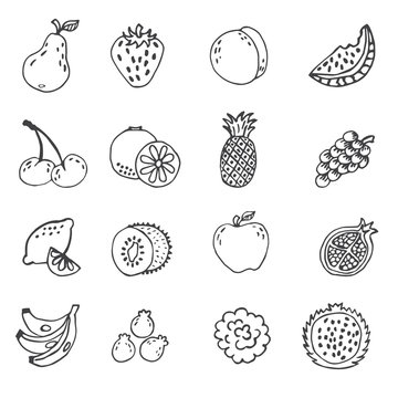 set of doodle hand drawn fruit icon vector illustration
