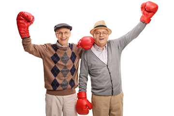 Delighted seniors with boxing gloves