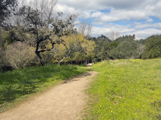 Camino de la Huerta del Rey.  Hornachuelos