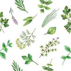 Watercolor vector seamless pattern hand drawn herb .