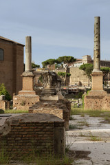Roma (fori imperiali)
