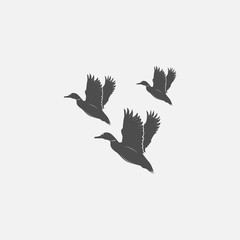 flying ducks in grayscale