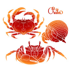 Graphic vector crab collection