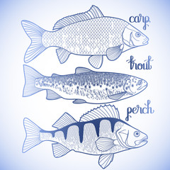 Graphic fish collection
