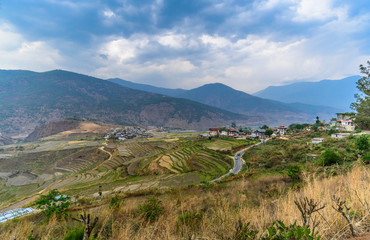 Fototapeta na wymiar Rice field in nature landscape at Bhutan.