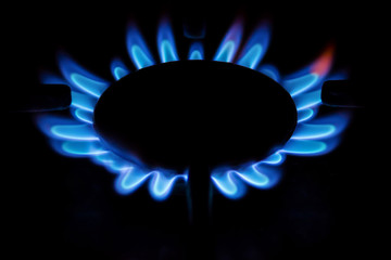 Burning blue gas on the stove.