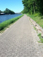 Road next to ditch