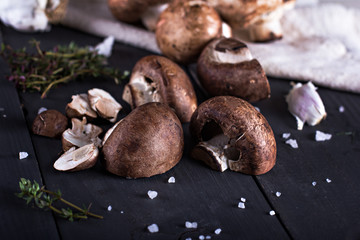 Fresh mushrooms with spices and herbs on a black board.Champignon mushrooms