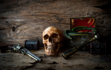 pirate skull concept , still life