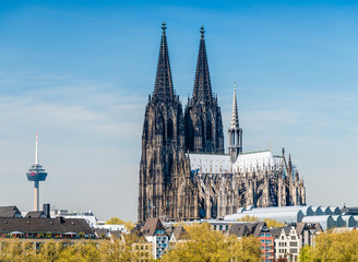 Köln cologne