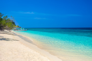 Fototapeta na wymiar Beautiful beach and tropical turquoise sea