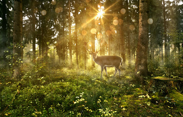 Panele Szklane Podświetlane  Jeleń w mglistym lesie