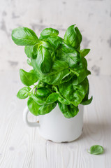 Fresh basil in vintage cup on white background. Selective focus