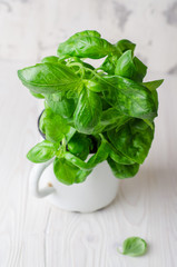 Fresh basil in vintage cup on white background. Selective focus