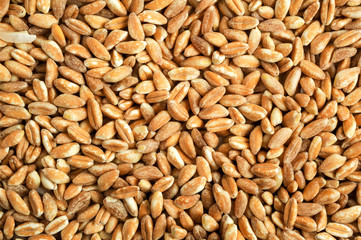 Spelt for background