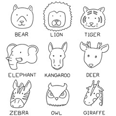 vector set of animal