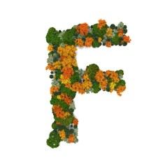 Top view forest trees font high detail white background