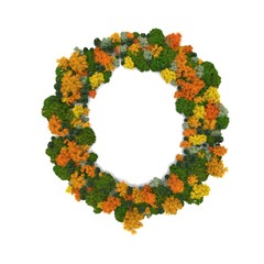 Top view forest trees font high detail white background