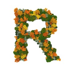 Top view forest trees font high detail white background