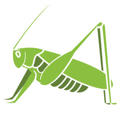 Decorative grasshopper. Vector illustration. Good for company ore a nature project sign.
