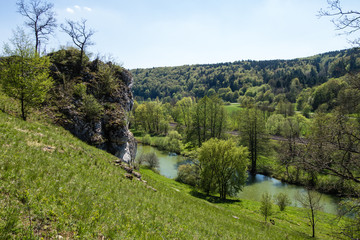 Fototapeta na wymiar Kalksteinfelsen im Altmühltal