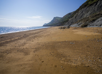 Fototapeta na wymiar Eype Beach in Dorset