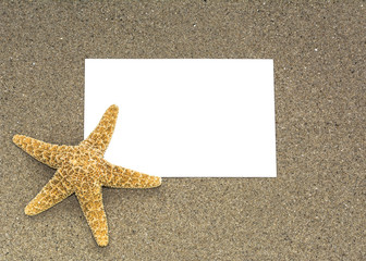 Estrella de mar sobre fondo de arena en una playa, con espacio publicitario