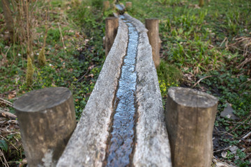 old wooden spring