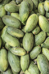 Green cucumbers 