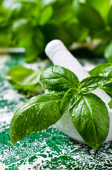 Organic green basil in a mortar