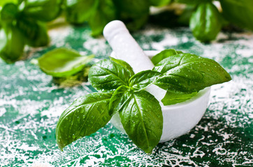 Organic green basil in a mortar