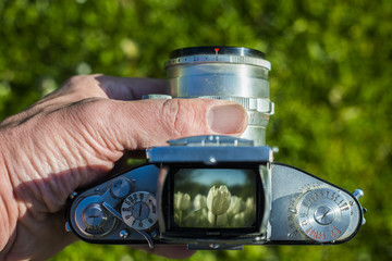 Shooting nature with old medium format camera